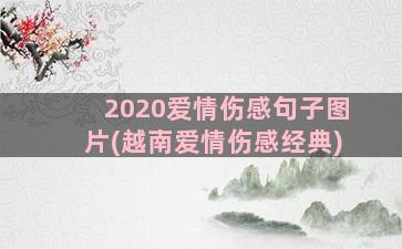 2020爱情伤感句子图片(越南爱情伤感经典)