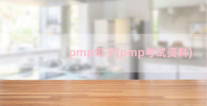 pmp句子(pmp考试资料)