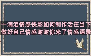 一滴泪情感快影如何制作活在当下做好自己情感谢谢你来了情感语录大全