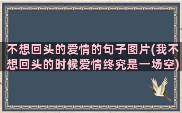 不想回头的爱情的句子图片(我不想回头的时候爱情终究是一场空)