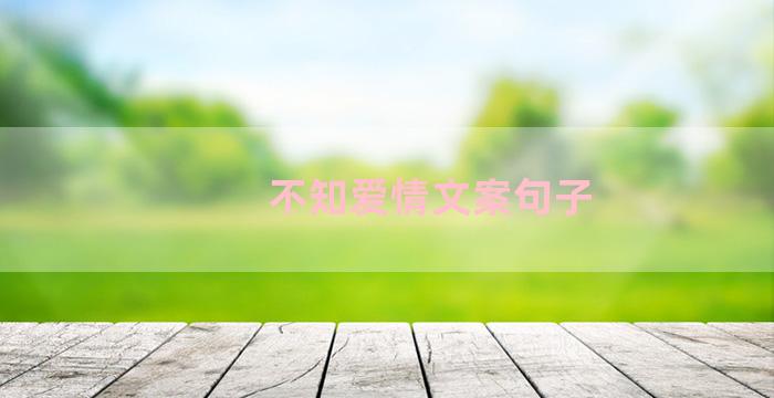 不知爱情文案句子