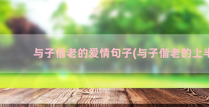 与子偕老的爱情句子(与子偕老的上半句)