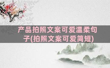 产品拍照文案可爱温柔句子(拍照文案可爱简短)