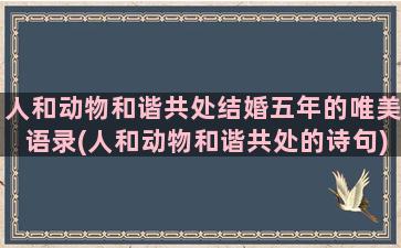 人和动物和谐共处结婚五年的唯美语录(人和动物和谐共处的诗句)