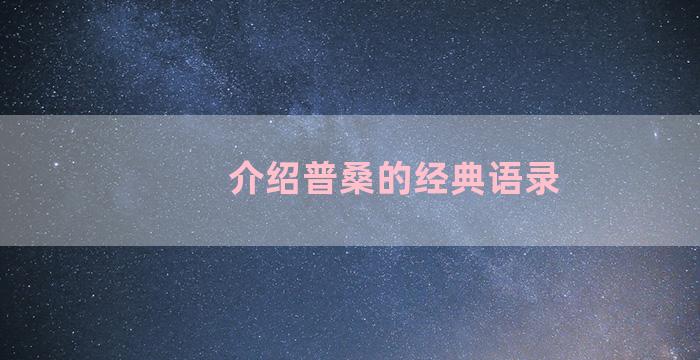 介绍普桑的经典语录