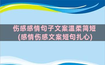 伤感感情句子文案温柔简短(感情伤感文案短句扎心)