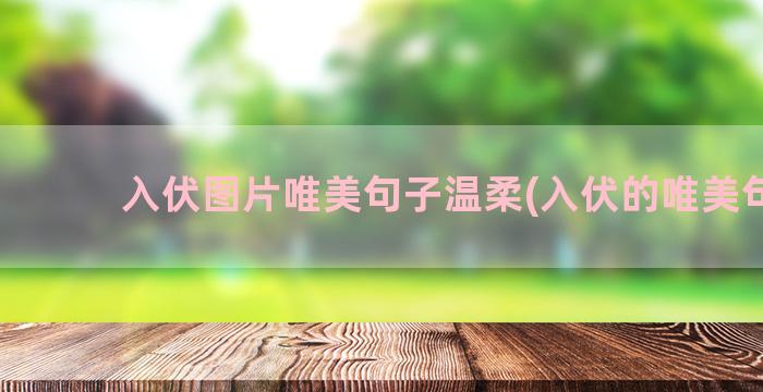 入伏图片唯美句子温柔(入伏的唯美句子)