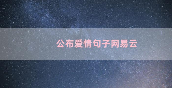 公布爱情句子网易云