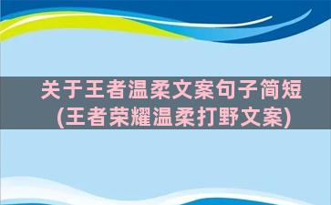 关于王者温柔文案句子简短(王者荣耀温柔打野文案)