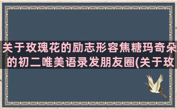 关于玫瑰花的励志形容焦糖玛奇朵的初二唯美语录发朋友圈(关于玫瑰花的励志句子)