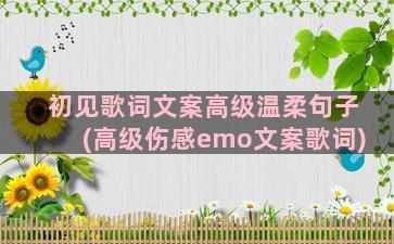 初见歌词文案高级温柔句子(高级伤感emo文案歌词)