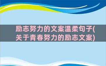 励志努力的文案温柔句子(关于青春努力的励志文案)