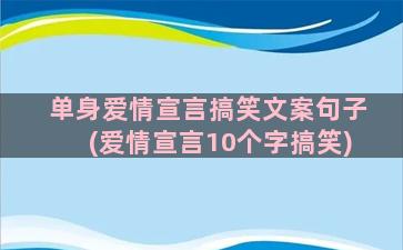 单身爱情宣言搞笑文案句子(爱情宣言10个字搞笑)