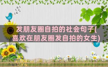 发朋友圈自拍的社会句子(喜欢在朋友圈发自拍的女生)