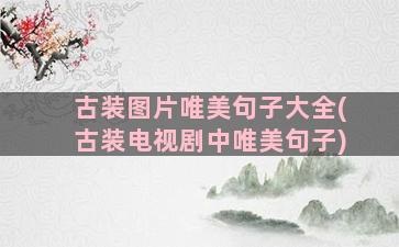 古装图片唯美句子大全(古装电视剧中唯美句子)