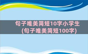 句子唯美简短10字小学生(句子唯美简短100字)