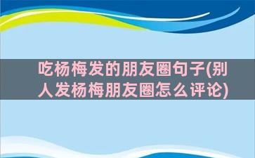 吃杨梅发的朋友圈句子(别人发杨梅朋友圈怎么评论)