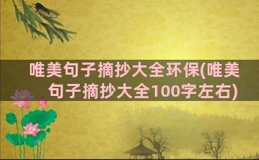 唯美句子摘抄大全环保(唯美句子摘抄大全100字左右)