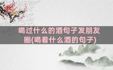 喝过什么的酒句子发朋友圈(喝着什么酒的句子)