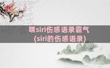 嘿siri伤感语录霸气(siri的伤感语录)