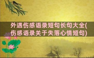 外遇伤感语录短句长句大全(伤感语录关于失落心情短句)