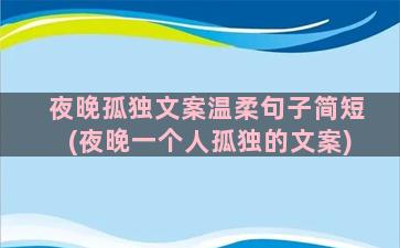 夜晚孤独文案温柔句子简短(夜晚一个人孤独的文案)