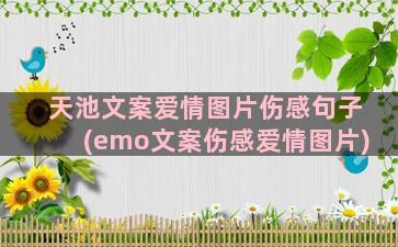 天池文案爱情图片伤感句子(emo文案伤感爱情图片)