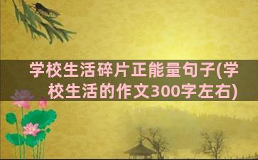 学校生活碎片正能量句子(学校生活的作文300字左右)