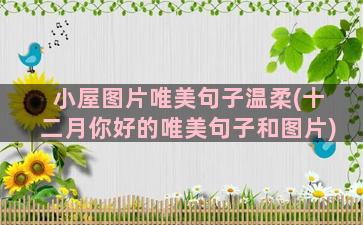 小屋图片唯美句子温柔(十二月你好的唯美句子和图片)