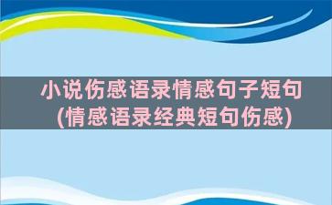 小说伤感语录情感句子短句(情感语录经典短句伤感)