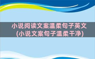 小说阅读文案温柔句子英文(小说文案句子温柔干净)