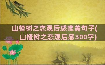 山楂树之恋观后感唯美句子(山楂树之恋观后感300字)