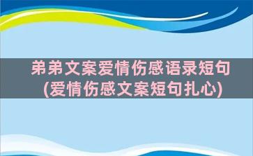 弟弟文案爱情伤感语录短句(爱情伤感文案短句扎心)