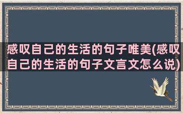 感叹自己的生活的句子唯美(感叹自己的生活的句子文言文怎么说)