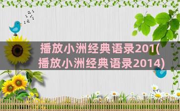 播放小洲经典语录201(播放小洲经典语录2014)