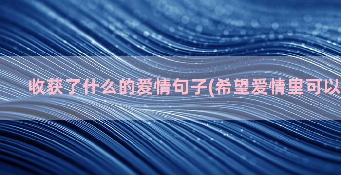 收获了什么的爱情句子(希望爱情里可以收获什么)