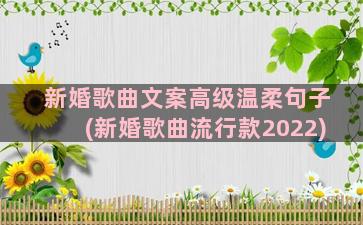 新婚歌曲文案高级温柔句子(新婚歌曲流行款2022)