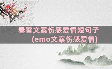 春雪文案伤感爱情短句子(emo文案伤感爱情)