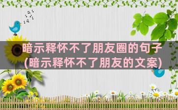 暗示释怀不了朋友圈的句子(暗示释怀不了朋友的文案)