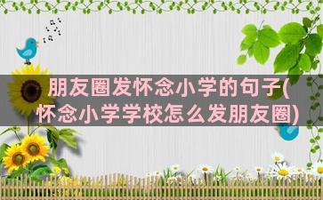 朋友圈发怀念小学的句子(怀念小学学校怎么发朋友圈)