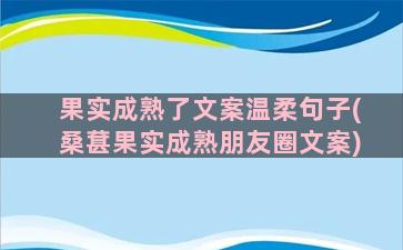 果实成熟了文案温柔句子(桑葚果实成熟朋友圈文案)