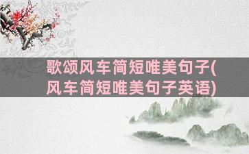 歌颂风车简短唯美句子(风车简短唯美句子英语)