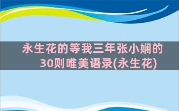 永生花的等我三年张小娴的30则唯美语录(永生花)