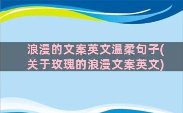 浪漫的文案英文温柔句子(关于玫瑰的浪漫文案英文)