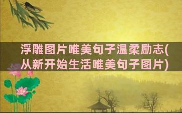 浮雕图片唯美句子温柔励志(从新开始生活唯美句子图片)