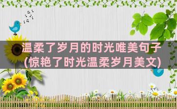 温柔了岁月的时光唯美句子(惊艳了时光温柔岁月美文)