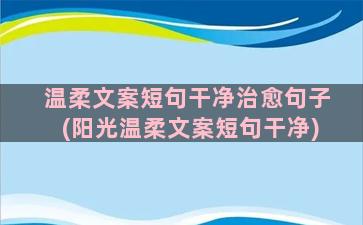 温柔文案短句干净治愈句子(阳光温柔文案短句干净)