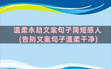 温柔永劫文案句子简短感人(告别文案句子温柔干净)