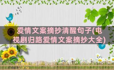 爱情文案摘抄清醒句子(电视剧归路爱情文案摘抄大全)