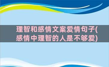 理智和感情文案爱情句子(感情中理智的人是不够爱)